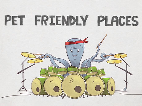 2D Animation Company