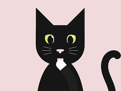 2D Animation Company