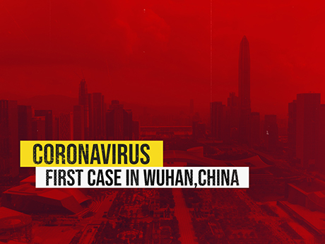 2D Animation Company