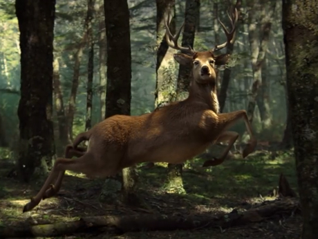 3D Animation Creator